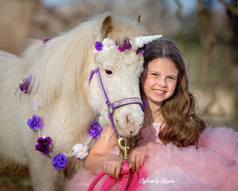 Unicorn Photo Session with a Real Horse-Hampshire Illinois ⋆ Captured ...