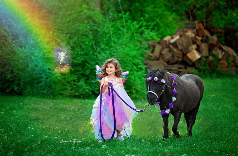 Illinois Unicorn Photography