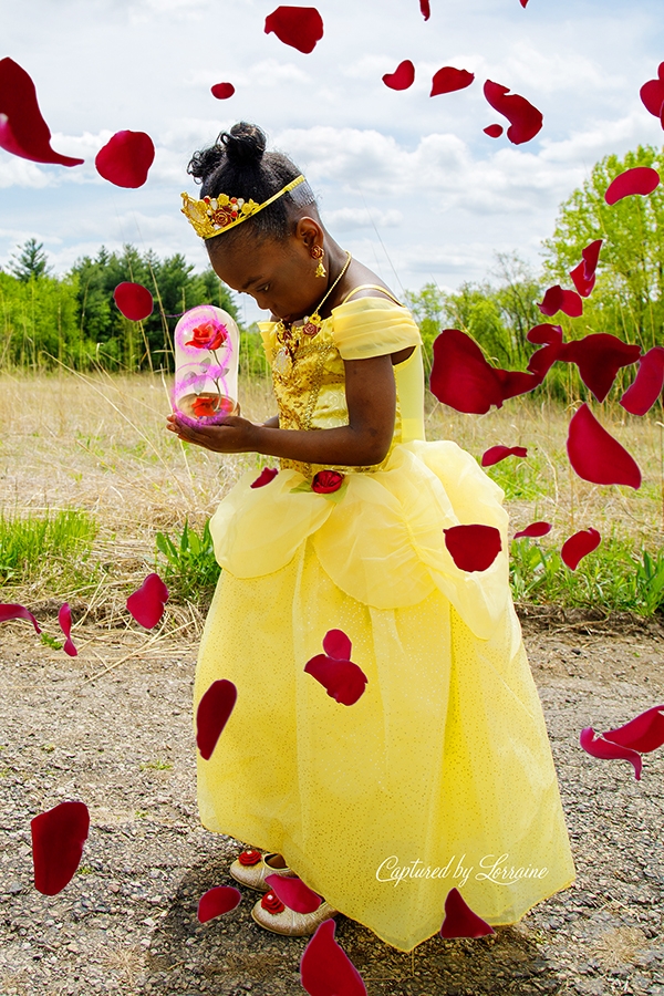 Make a Wish Princess Photo Shoot Illinois ⋆ Captured by Lorraine